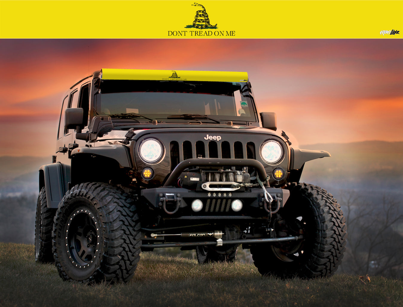 Gadsden State Flag Light Bar Insert