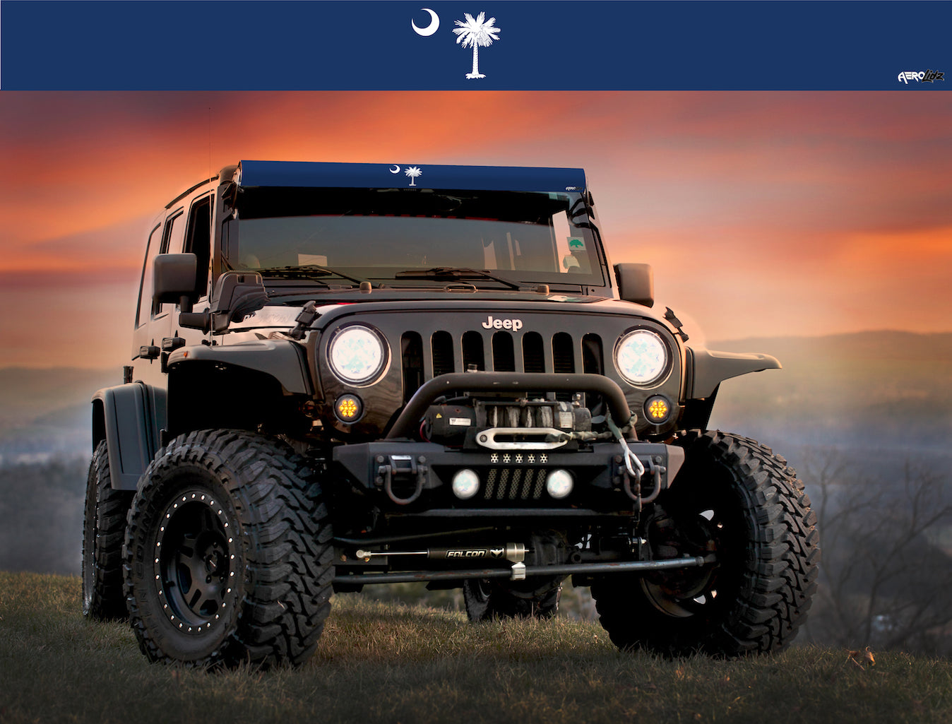 South Carolina State Flag Light Bar Insert