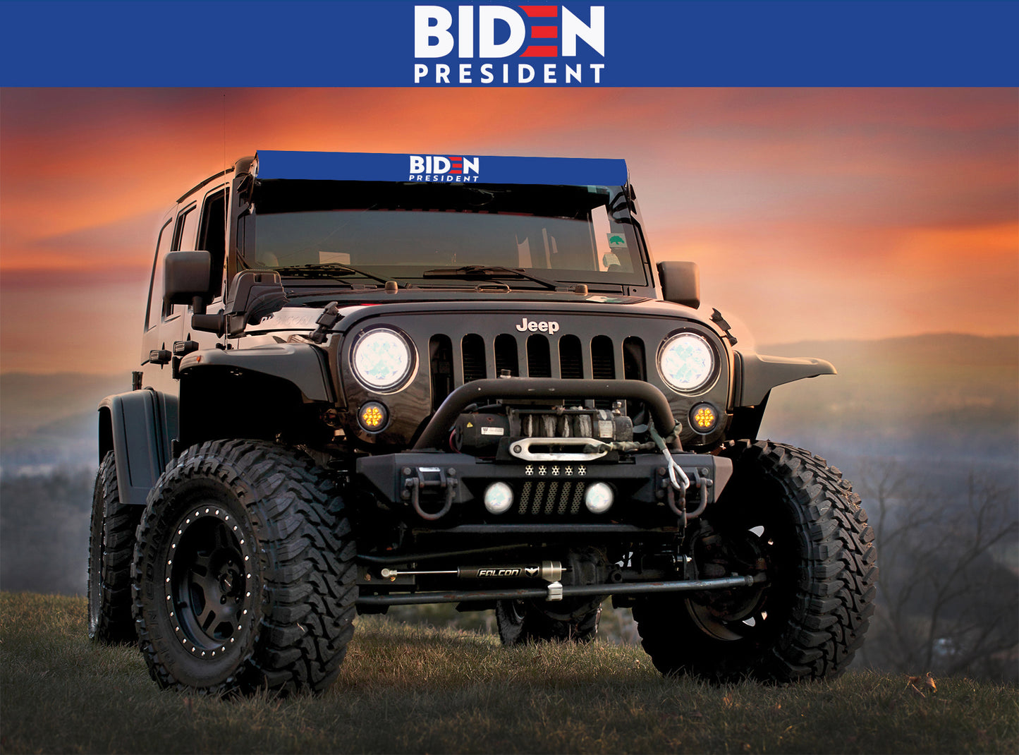Biden 2020 Light Bar Insert