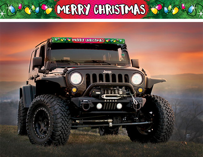 Christmas Lights Light Bar Insert