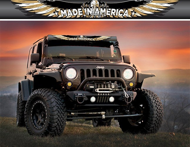 Golden Bald Eagle Light Bar Insert