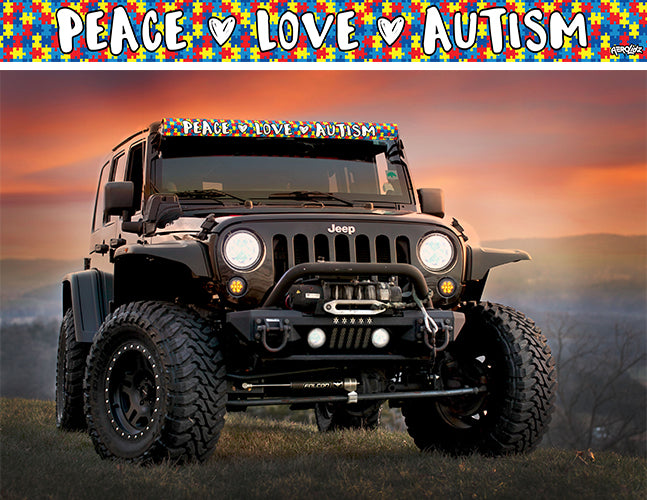 Autism Awareness Light Bar Insert