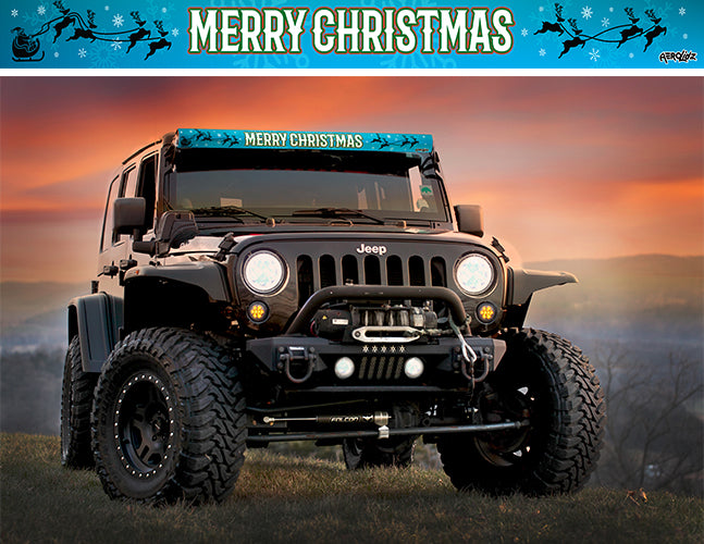 Snow Flake Christmas Insert