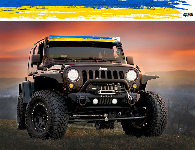 Ukraine Flag