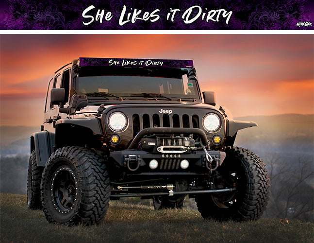 She Likes It Dirty Light Bar Insert
