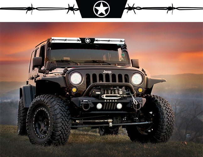 Black & White Texas Star