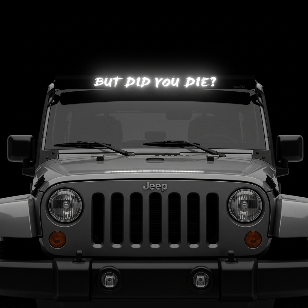 Graphic InsertZ | But Did You Die?