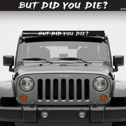 Graphic InsertZ | But Did You Die?